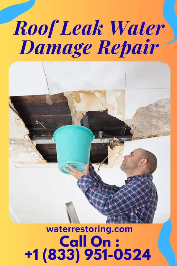Roof Leak Water Damage Repair in Heyburn, ID